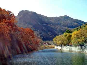 正新澳门二四六天天彩，家居论坛